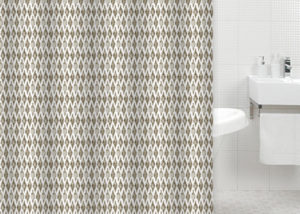 shower curtain
